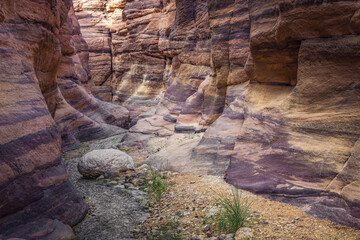 High and colorful sandstone rocks along edges of the gorge at the end of the walking route along the Wadi Numeira gorge in Jordan. Wadi Numeira, Jordan, Middle East.