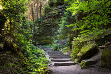 Obraz premium Natural landscape - view of stairs between rocks on a mountain path in Saxon Switzerland, Germany