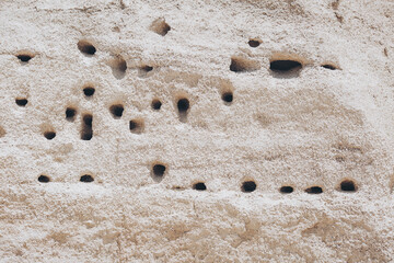Empty nests, burrows of birds in the sand cliffs. Numerous holes of nests of swallows or swifts in the limestone slope. 