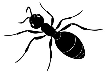 Ant silhouette Vector art illustration isolated white Background, Ant vector icon, Ant Silhouette for Art Illustration