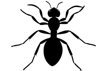 Ant silhouette Vector art illustration isolated white Background, Ant vector icon, Ant Silhouette for Art Illustration