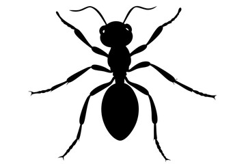 Ant silhouette Vector art illustration isolated white Background, Ant vector icon, Ant Silhouette for Art Illustration