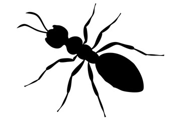 Ant silhouette Vector art illustration isolated white Background, Ant vector icon, Ant Silhouette for Art Illustration