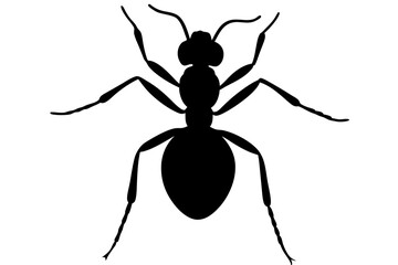 Ant silhouette Vector art illustration isolated white Background, Ant vector icon, Ant Silhouette for Art Illustration