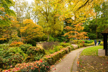 Naklejka premium Trees in autumn colors in a botanic garden.