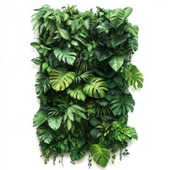 Fototapeta premium a wall of green plants provides a natural backdrop