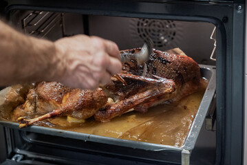 checking roast goose