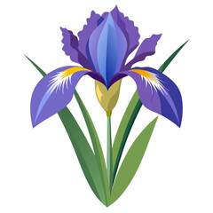 bouquet of snowdrops