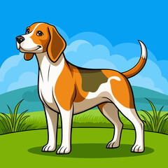 Beagle Hound Dog – Standing Alert with Detailed Fur Patterns, Realistic Illustration