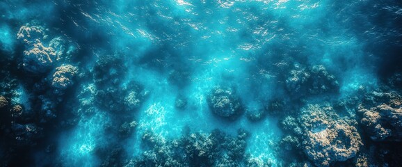 Obraz premium Underwater coral reef scene with sunlight filtering through the water.