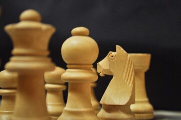 Close up picture of Chess Pieces with Knight In focus