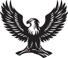 Fototapeta premium eagle with wings