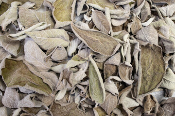 Sage dried leaves background, abstract culinary texture