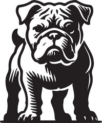 black and white bulldogs vector illustration