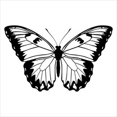 Black monochrome Butterfly Silhouette Vector illustration