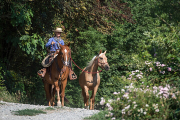 Cowgirl riding a horse and leading 2 more by hand