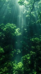 Tranquil Forest Scene with Sunlight Filtering Through Lush Green Canopy and Vibrant Foliage