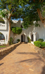Scenic path to the house in the garden in summer