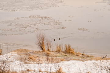 winter landscape with river