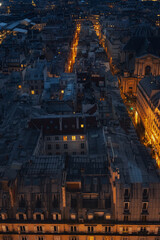 view of the roofs of downtown Paris