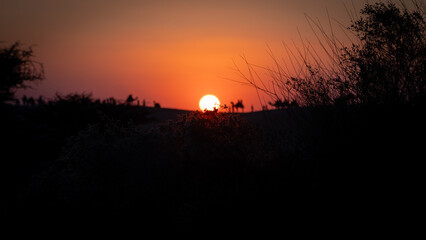 Desert's Whispers.