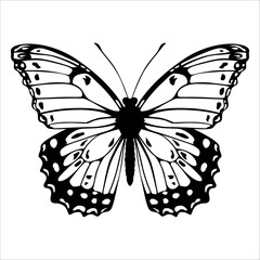 Black monochrome Butterfly Silhouette Vector illustration