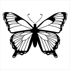 Black monochrome Butterfly Silhouette Vector illustration
