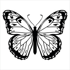 Black monochrome Butterfly Silhouette Vector illustration