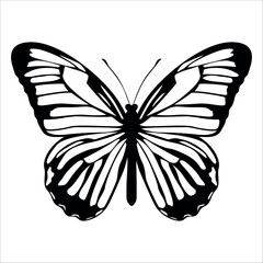 Black monochrome Butterfly Silhouette Vector illustration