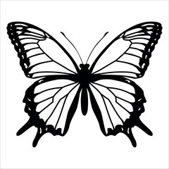 Black monochrome Butterfly Silhouette Vector illustration