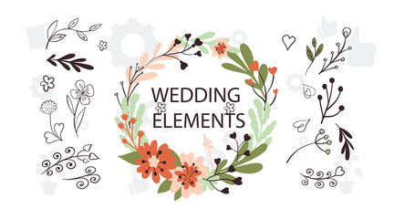 Wild flowers vector collection. herbs, herbaceous flowering plants, blooming flowers, subshrubs isolated on white background. Hand drawn detailed botanical vector illustration.