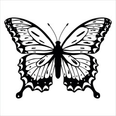 Black monochrome Butterfly Silhouette Vector illustration