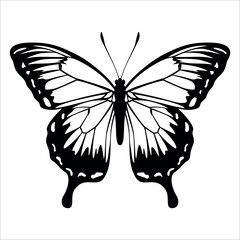 Black monochrome Butterfly Silhouette Vector illustration