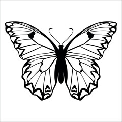Black monochrome Butterfly Silhouette Vector illustration