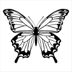 Black monochrome Butterfly Silhouette Vector illustration