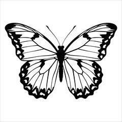 Black monochrome Butterfly Silhouette Vector illustration