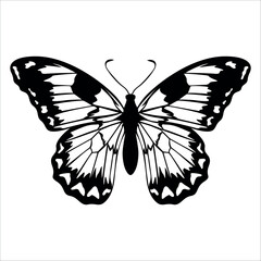 Black monochrome Butterfly Silhouette Vector illustration