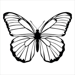 Black monochrome Butterfly Silhouette Vector illustration