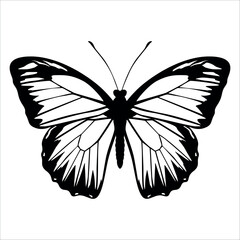 Black monochrome Butterfly Silhouette Vector illustration