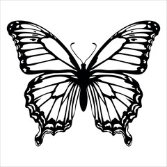 Black monochrome Butterfly Silhouette Vector illustration