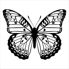 Black monochrome Butterfly Silhouette Vector illustration