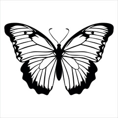 Black monochrome Butterfly Silhouette Vector illustration