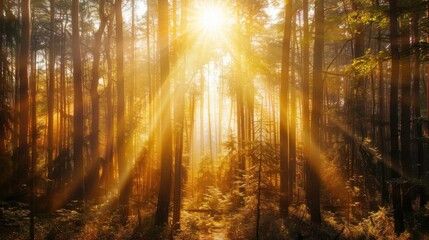 Naklejka premium a mystical forest illuminated by shafts of golden sunlight, white space in the center of the page for text, warm earth tones against a backdrop of dappled light and shadow