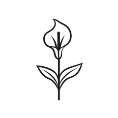 Calla lily line art, white background, simple design, floral illustration, website icon