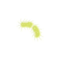Yersinia Pestis Illustration 