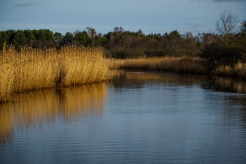 Latvian landscape with river Abava Near Kandava town in late autumn