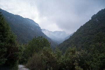 Landscape in Olympia national park, Greece