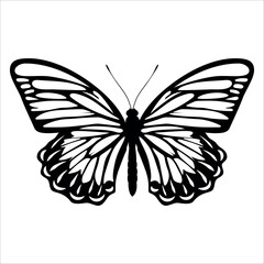 Black monochrome Butterfly Silhouette Vector illustration