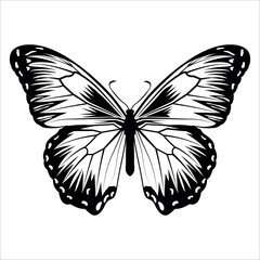 Black monochrome Butterfly Silhouette Vector illustration