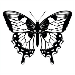 Black monochrome Butterfly Silhouette Vector illustration
